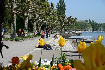 Bodensee